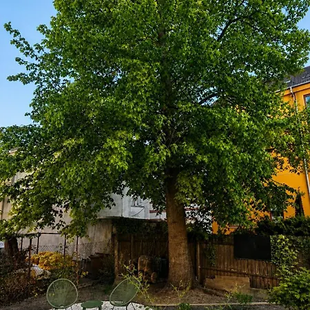 Apartment Golden Balance - Vivien